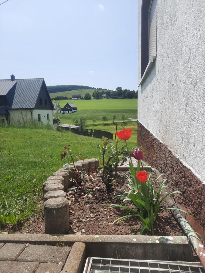 Ferienwohnung Wiesenblick In Seiffen Exterior foto